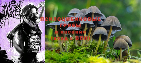 кокс Покровск