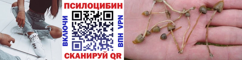 OMG вход  где продают наркотики  Арсеньев  Галлюциногенные грибы мухоморы 